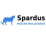 SEO   Web- Spardus